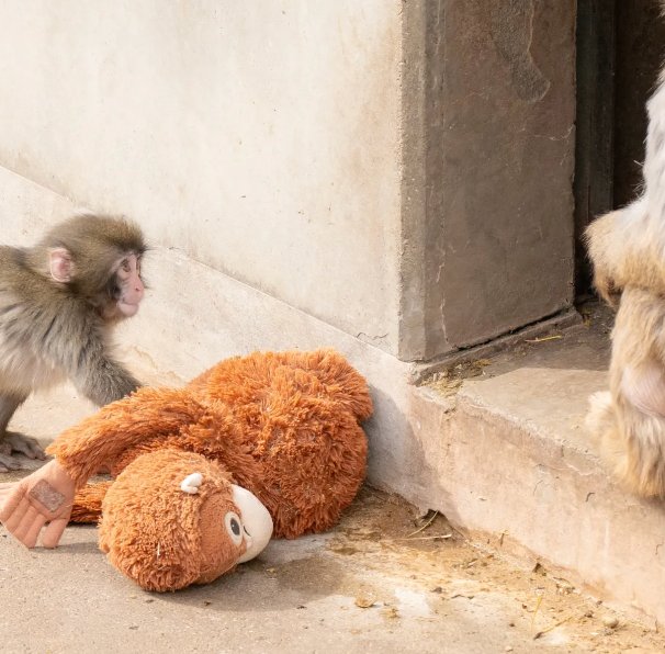 Punch with Ora Mama by the doorway